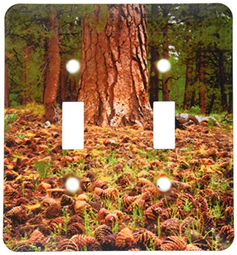 Interrupteur à bascule double USA California Sierra Nevada double commande multicolore - 2