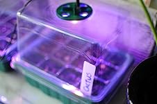 Review Image by Chaz Chaz