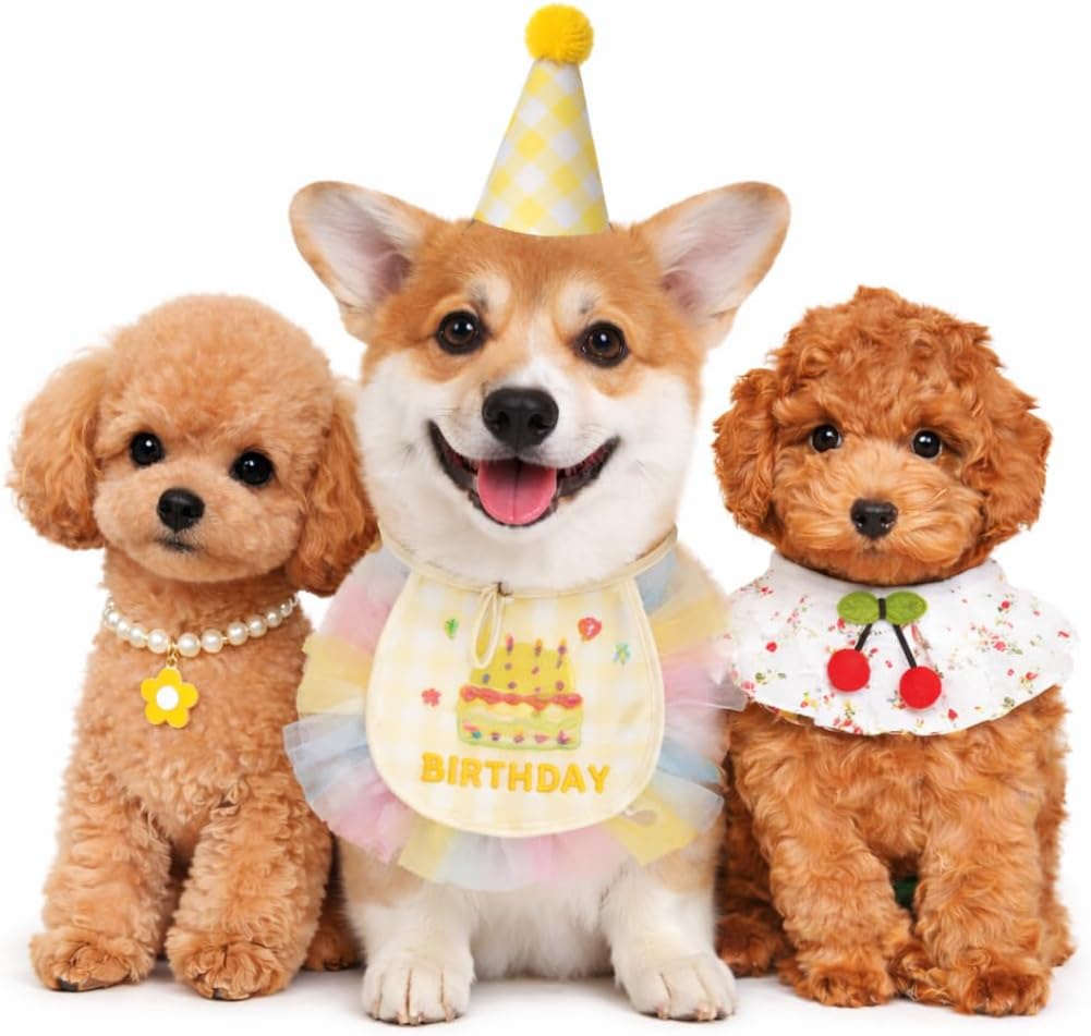 Dog First Birthday Outfit for Small Dogs, Tutu, Hat & Pearl Collar