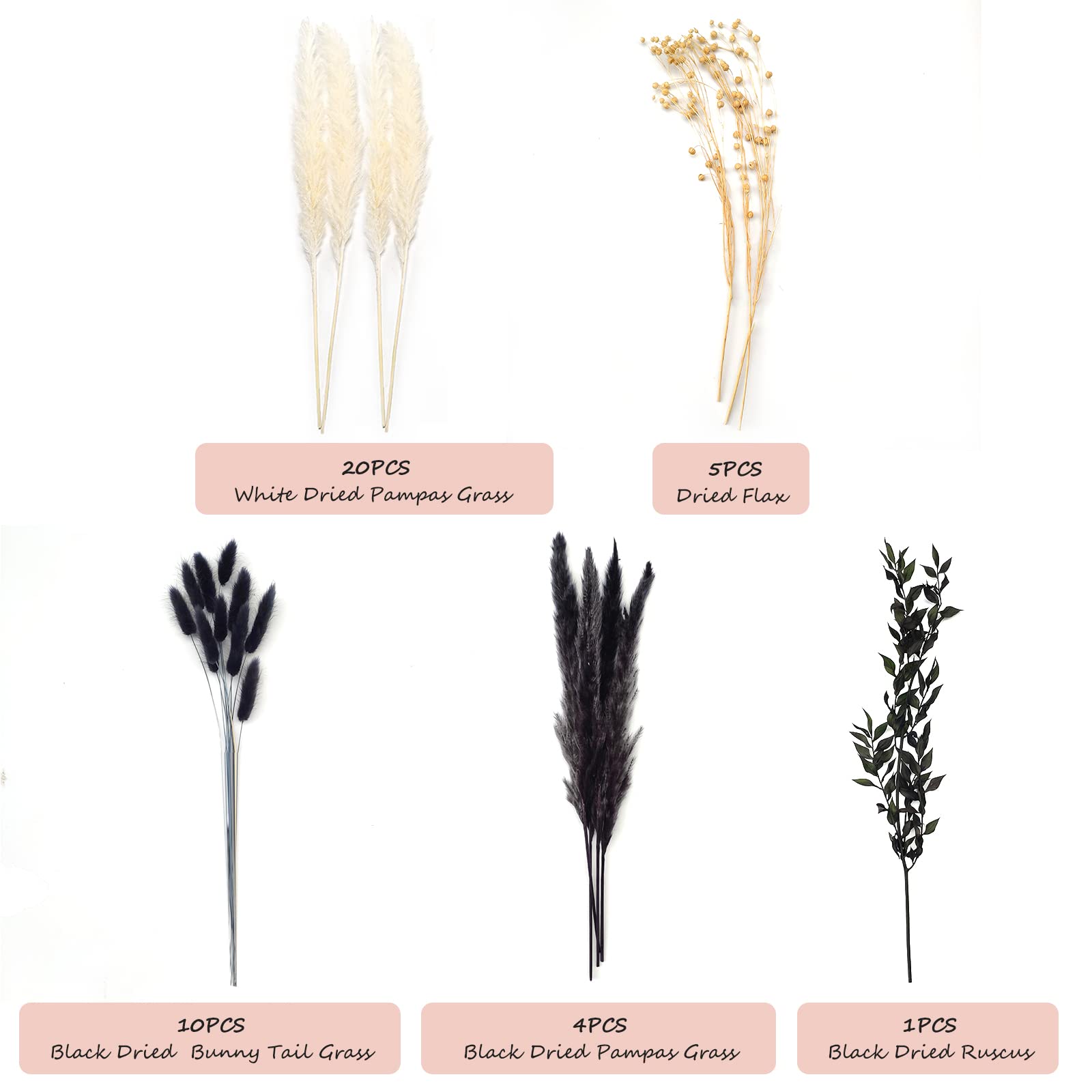 CAMDUCK Herbe de Pampa séchée Ensemble de Fleurs Séchées Noires, Arrangement de Bouquet de Plantes Séchées, Fleurs Séchées Blanches Fleurs Séchées pour Décor Boho Salon et Vases