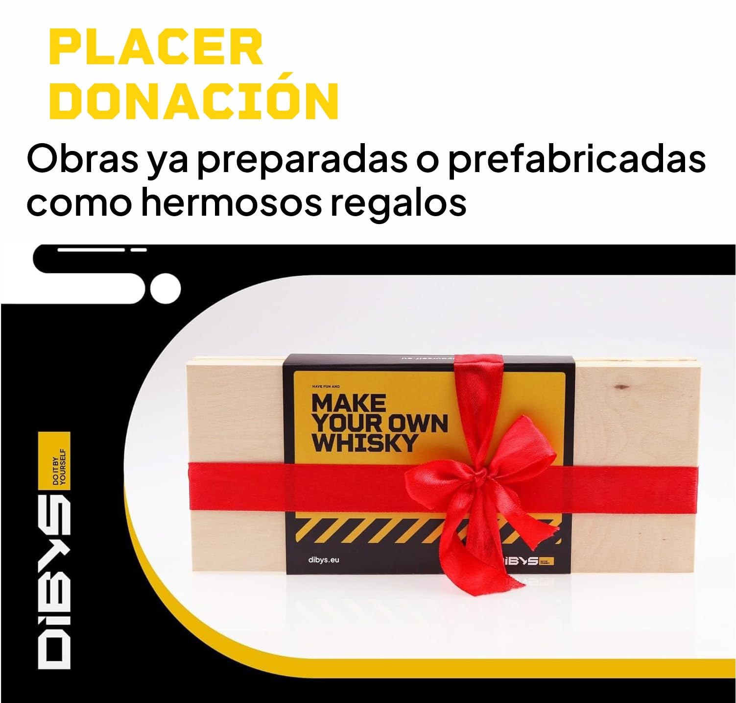 DIBYS Mini Kit Whisky para Regalar | 12 Especias para Cócteles | Con 4 Tarjetas de Recetas, Léxico y Elegante Caja | Set de Regalo para Hombres y Mujeres | Juego Hacer Whiskey Infusión en Casa