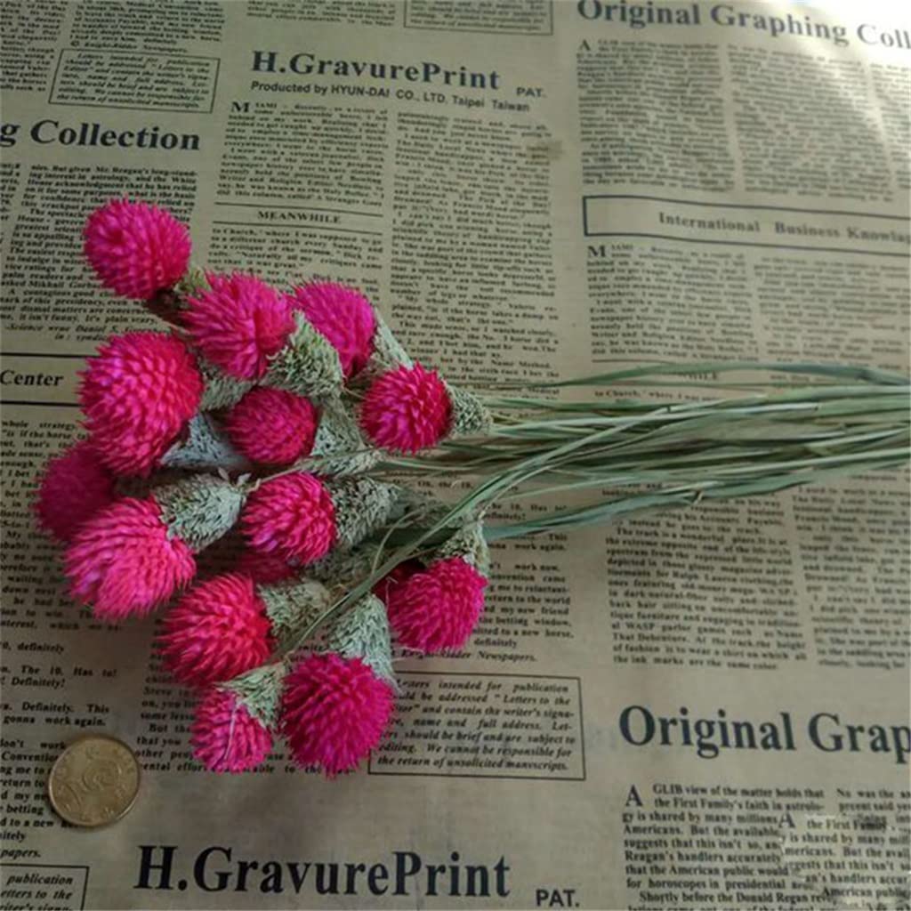 Bouquets De Mariage Faits À La Main, Tenant Des Fleurs, shoupenghua 10pcs Fleur Sèche Nature Vraies Fleurs De Baies Sèches Affichage Floral Plante D'herbe De Lapin for Bouquet De Mariage (Color : C, S