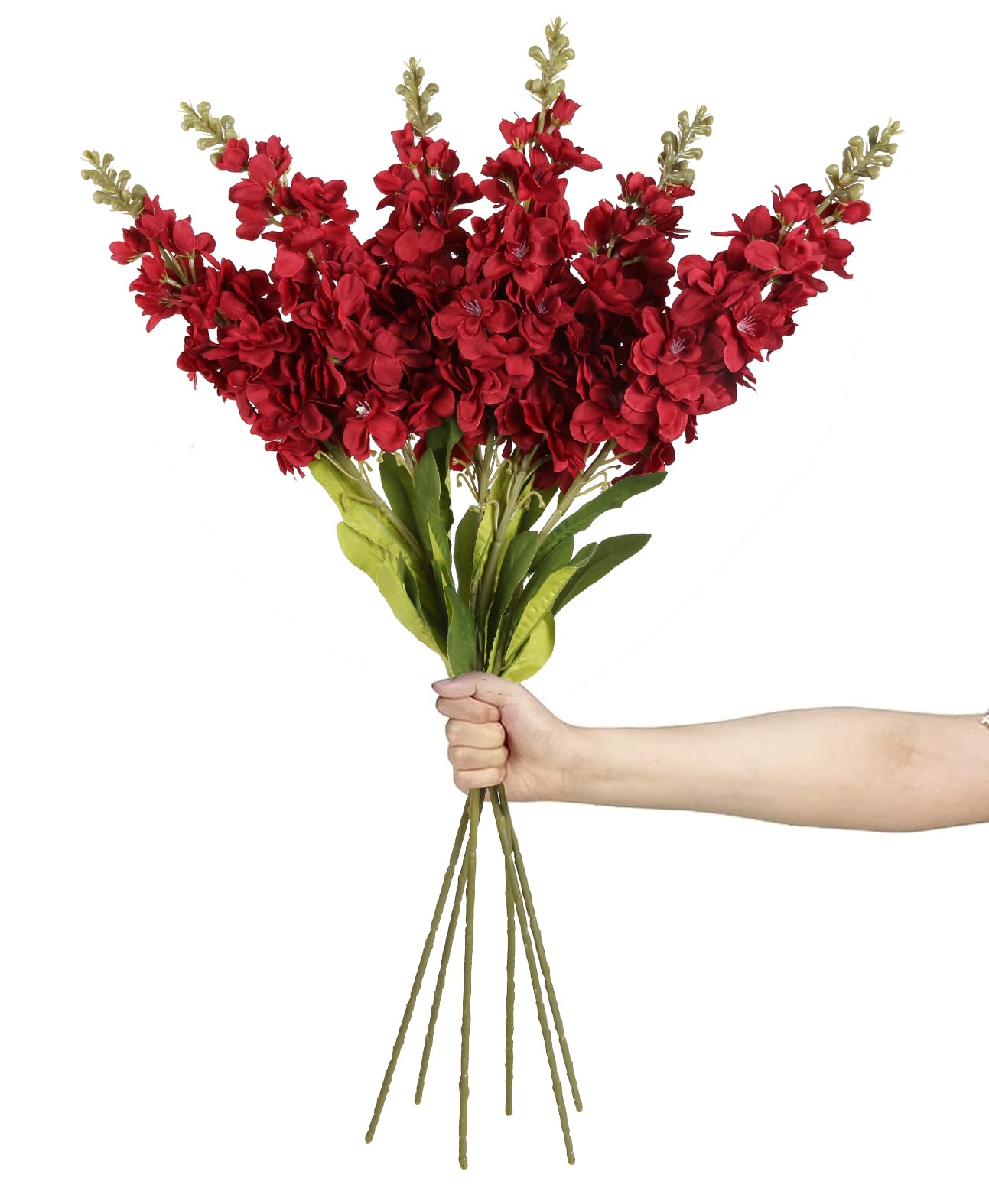 IPOPU Snapdragon Red Delphinium 6 pack