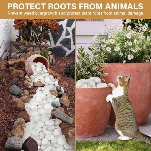 NUPICK 16lb White River Rocks for Outdoor Landscaping, 2-3 Inch Pebbles for Indoor Plants, Natural Polished Aquarium Gravel, Decorative Rocks for Succulent, Garden, Vases Fillers, Bird Baths by NUPICK - Image 5