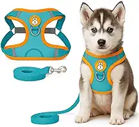 Peitoral Refletivo para Cachorros e Gatos com Guia Ideal para Passeios Noturnos (AZUL, G)