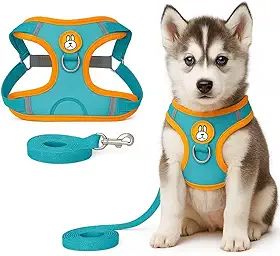Peitoral Refletivo para Cachorros e Gatos com Guia Ideal para Passeios Noturnos (AZUL, G)