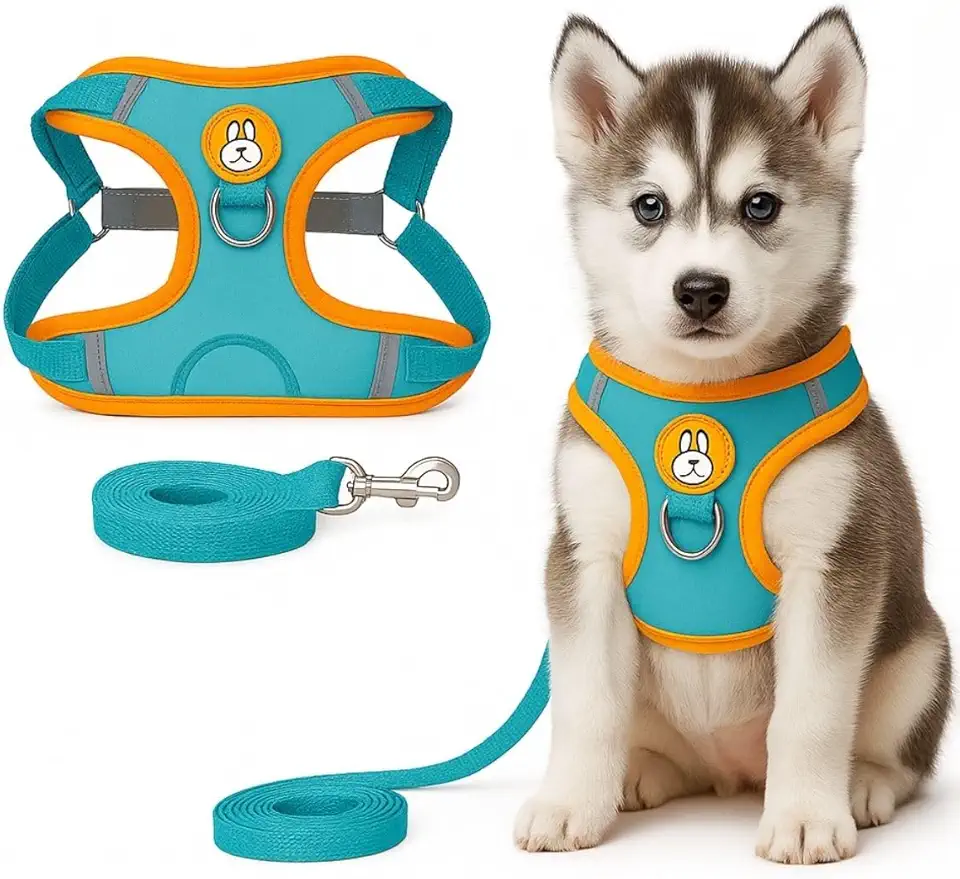 Peitoral Refletivo para Cachorros e Gatos com Guia Ideal para Passeios Noturnos (AZUL, G)