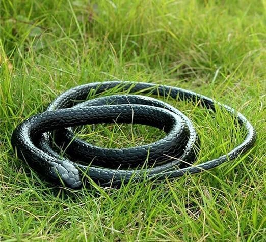Image of KRySt Brown Lizard and Black Snake Combo Toys | Real Looking Rubber Lizard Toy | Original Look Chipkali Toy | Chipkali and Snake Prank Toys for Kids and Adults (1 Lizard + 1 Snake)