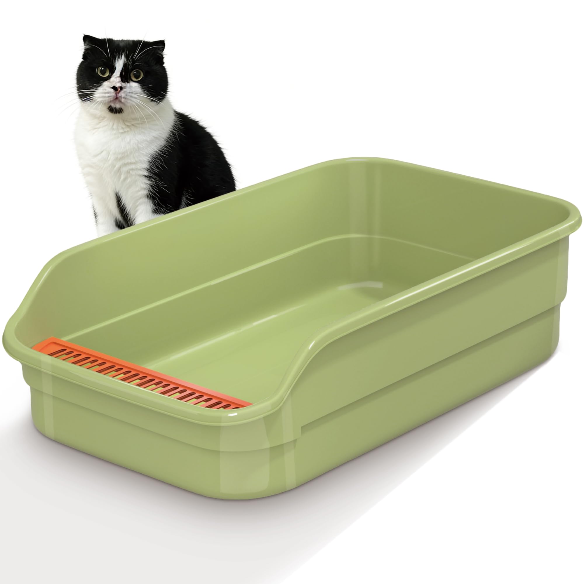 Vealind Large Cat Litter Tray High Sided and Low Entry Cat Litter Box 60 x 40 x 16 CM Easy Access Leak Proof Anti Splash Kitten Litter Trays (Green)
