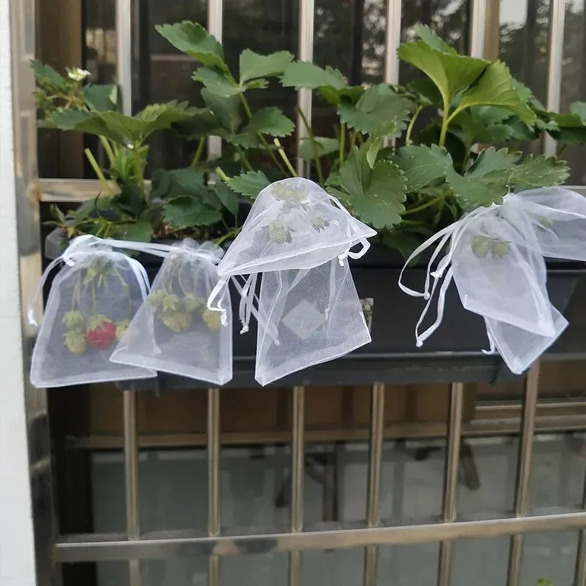 ECYC Ltd 100 Pcs Fruit Protection Bags with Drawstring, 7.87 x 11.8 Inch Mesh Organza Protectors Barrier Bags Reusable Garden Vegetable Fruit Netting Bag for Fruit Trees, Grapes, Mango, Tomato, Plant
