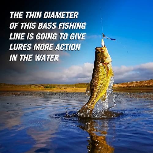 Miniatura 5 de HERCULES Línea de pesca trenzada súper resistente 4 hebras / 8 hebras, líneas trenzadas de 4 libras - 160 libras, 150/300/500/1000 yardas para agua