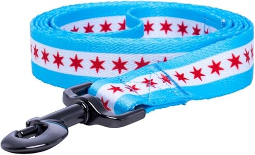 Miniatura 2 de Native Pup Correa para perro con bandera de Chicago (Chicago)
