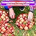100Pcs Reusable Mesh Produce Bags 24 Inch Red Onion Bags Mesh Fruit Net Bags for Vegetables - Seafood Boil Bags for Cooking Crabs - Red Grocery Small Mesh Bags for Vegetables Storage Fruit Bags