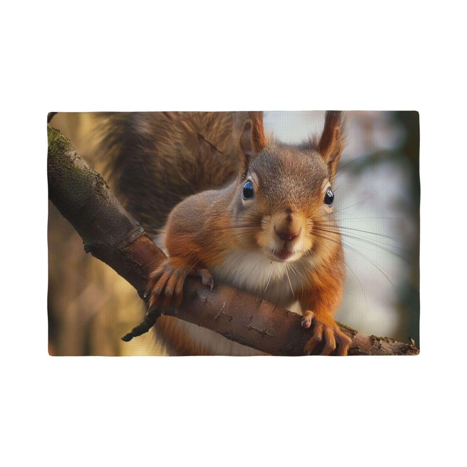 Squirrel Funny Animal Print Placemats Set, Heat Resistant Washable Placemat 12x18in Table Mats for Party Kitchen Dining Table Decoration Indoor Outdoor, Six Piece