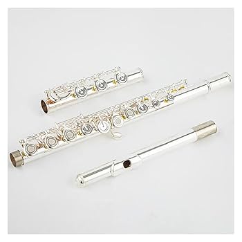 Amazon | 標準白銅銀メッキ C キー 17 穴開き穴フルート ケース