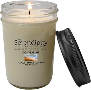 Serendipity Coastal Air Scented Soy Candle, All Natural 100% Soy Wax, Clean Burning, Vegan, Made in Canada (8 oz)