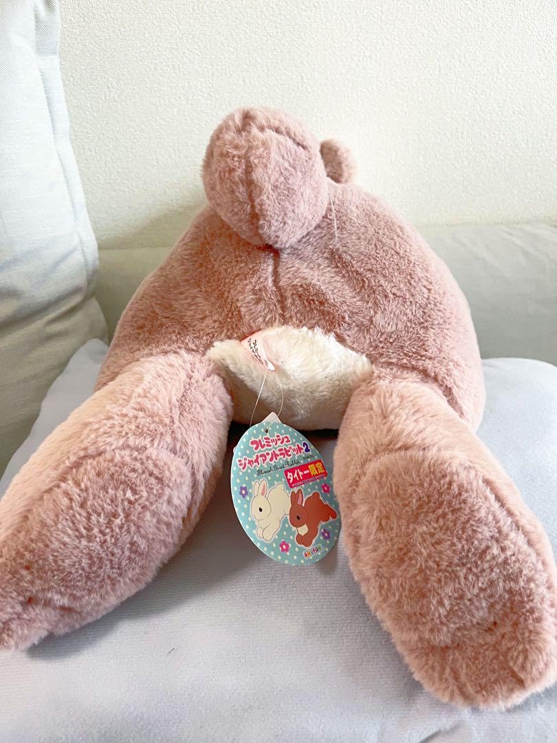 Amazon.co.jp: うさぎ フレミッシュジャイアントラビット 超big