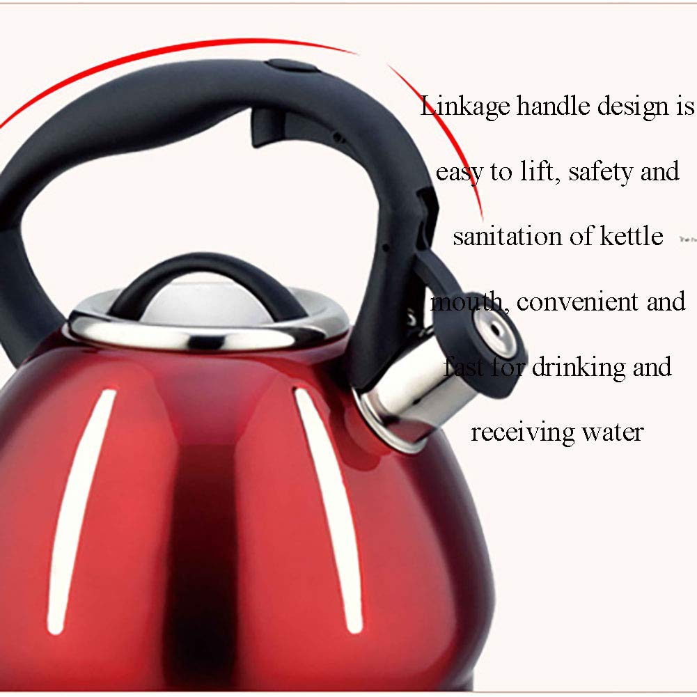 Hervidor eléctrico con diseño de calabaza, 3.0 L, gran capacidad, material grueso, acero inoxidable 304, para uso doméstico, para hervir agua de forma eficiente, cocina de inducción, estufa