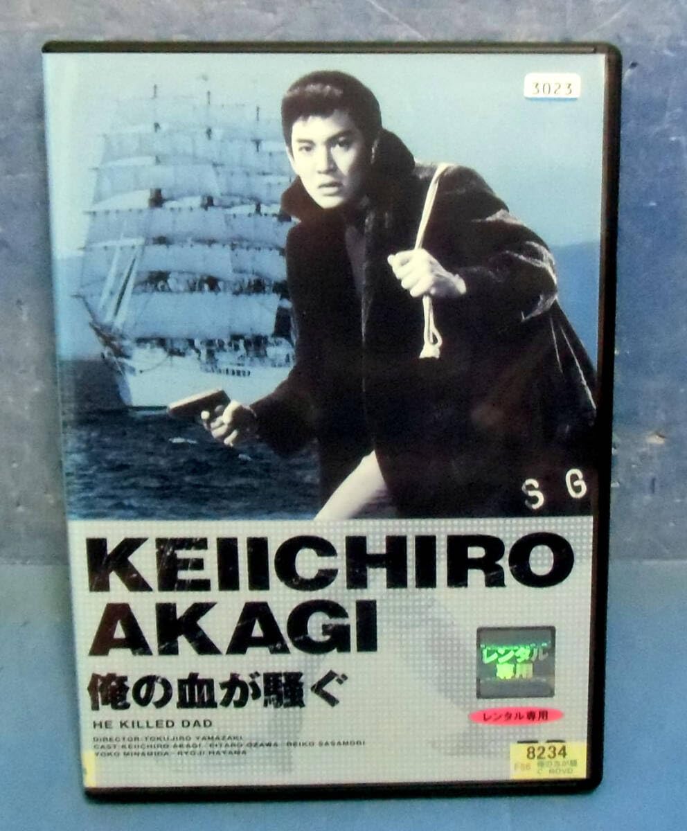 値下げ！ポスター　赤木圭一郎　総天然色　俺の血が騒ぐ　日活 値下げ！ポスター 赤木圭一郎 総天然色 俺の血が騒ぐ 日活
