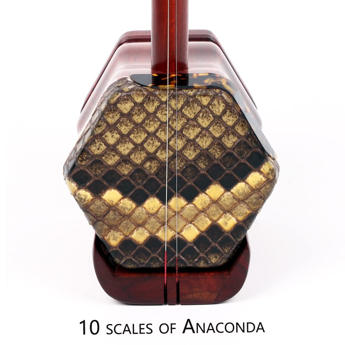 Amazon.com: NS 音樂專業紫檀木(ZITAN)二胡,兩弦中國小提琴小提琴樂器