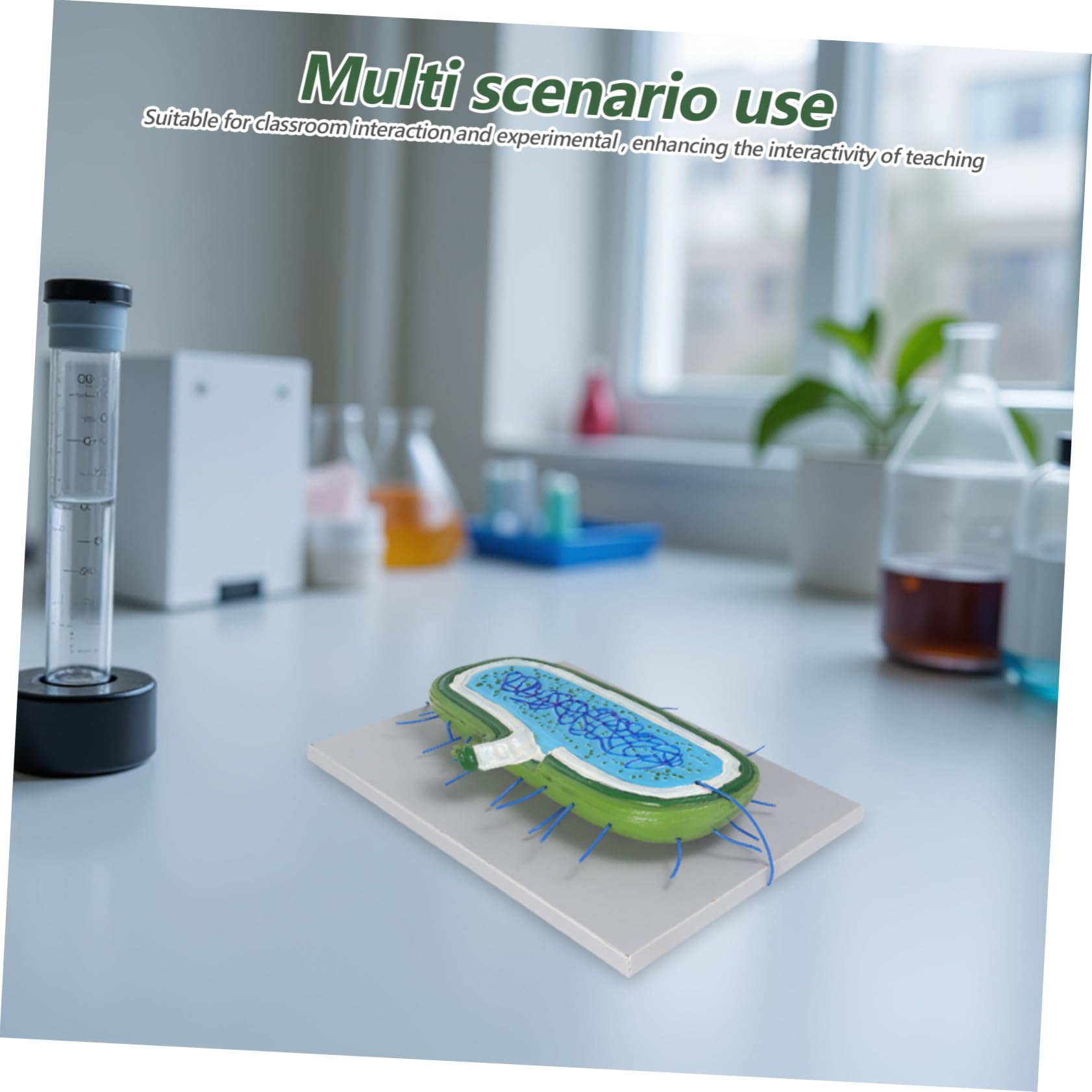 Zellkernmodell als Vergrößertes Kunststoff Demonstrationsmodell für Schüler | Detaillierte Organellen, Interaktiv für Biologieunterricht, Naturwissenschaftliche Demonstrationen, Lernumgebung