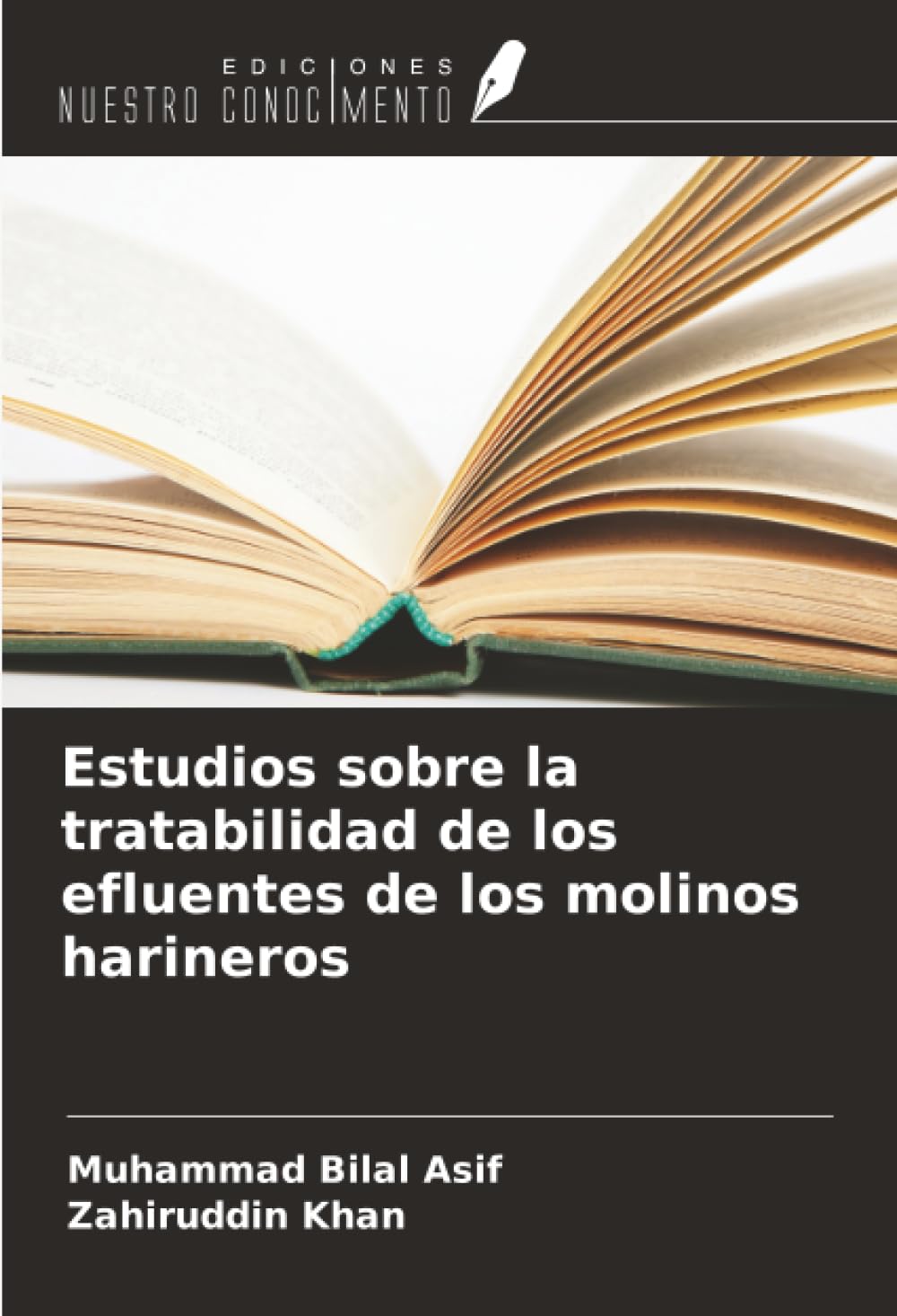 Estudios sobre la tratabilidad de los efluentes de los molinos harineros