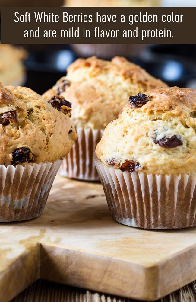 Wheat Berries | Soft White | 4 LBS | Kraft Re-Sealable Bag | Desiccant Free | Sproutable | Non-GMO Project Verified | Kosher