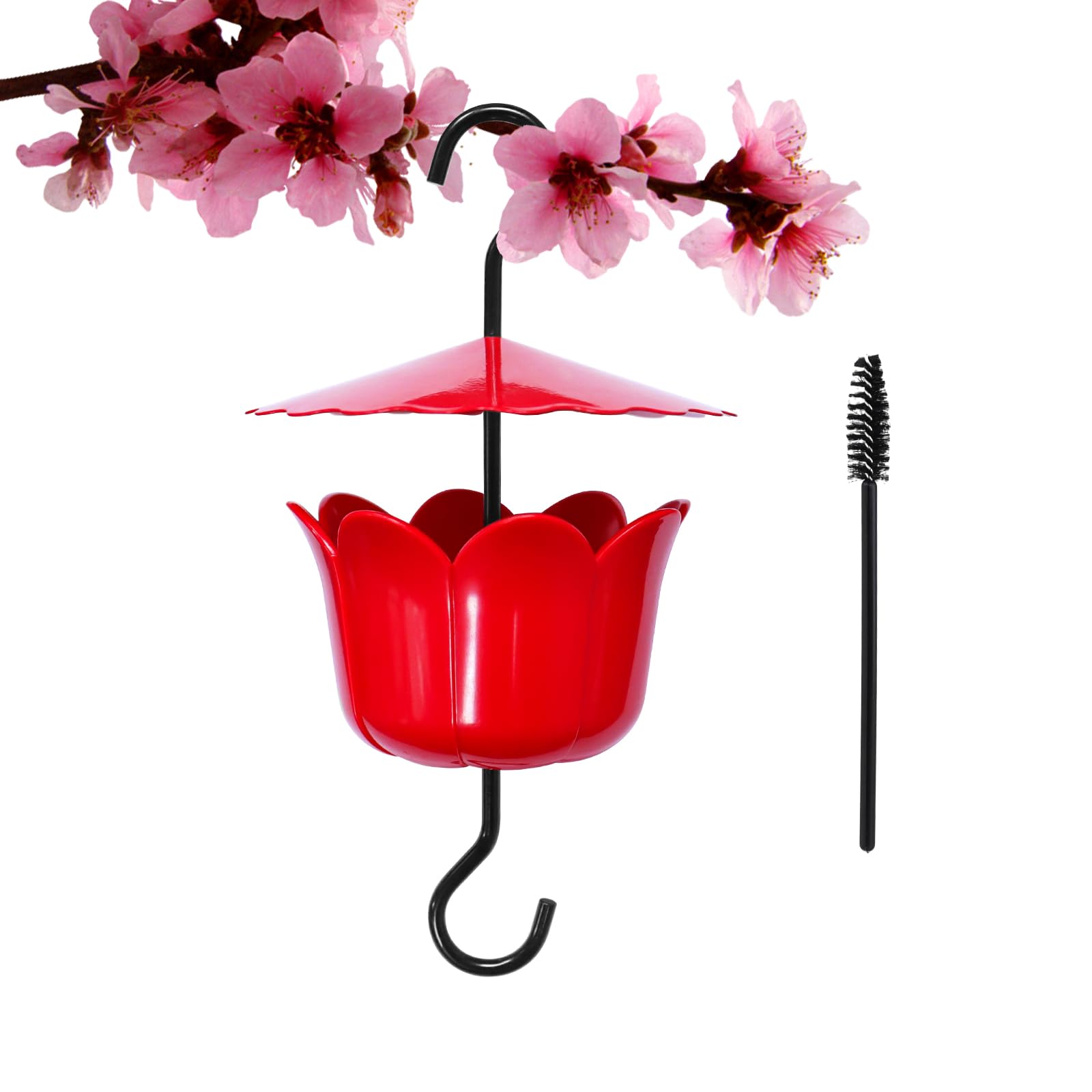 10 Best Ant Moat Hummingbird Feeders for Your Garden Hummingbirds Plus