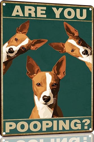 Vista 9 de Bichon Frise Dog - Cartel de 12 x 16 pulgadas con texto en inglés "Are You Pooping" para decoración de baño, póster de metal para perro amante