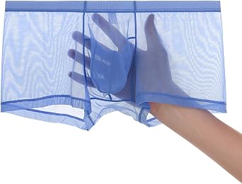 JINSHI Mens Sexy See Through Underwear Ice Silk Mesh Sheer Boxer Briefs transparent Bulge Pouch ultra thin Trunks