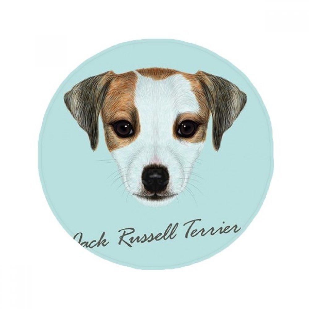 Tapis Jack Russell antidérapant et absorbant pour sécuriser le sol de la cuisine