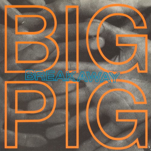Breakaway Big Pig 7" 45 CDs & Vinyl