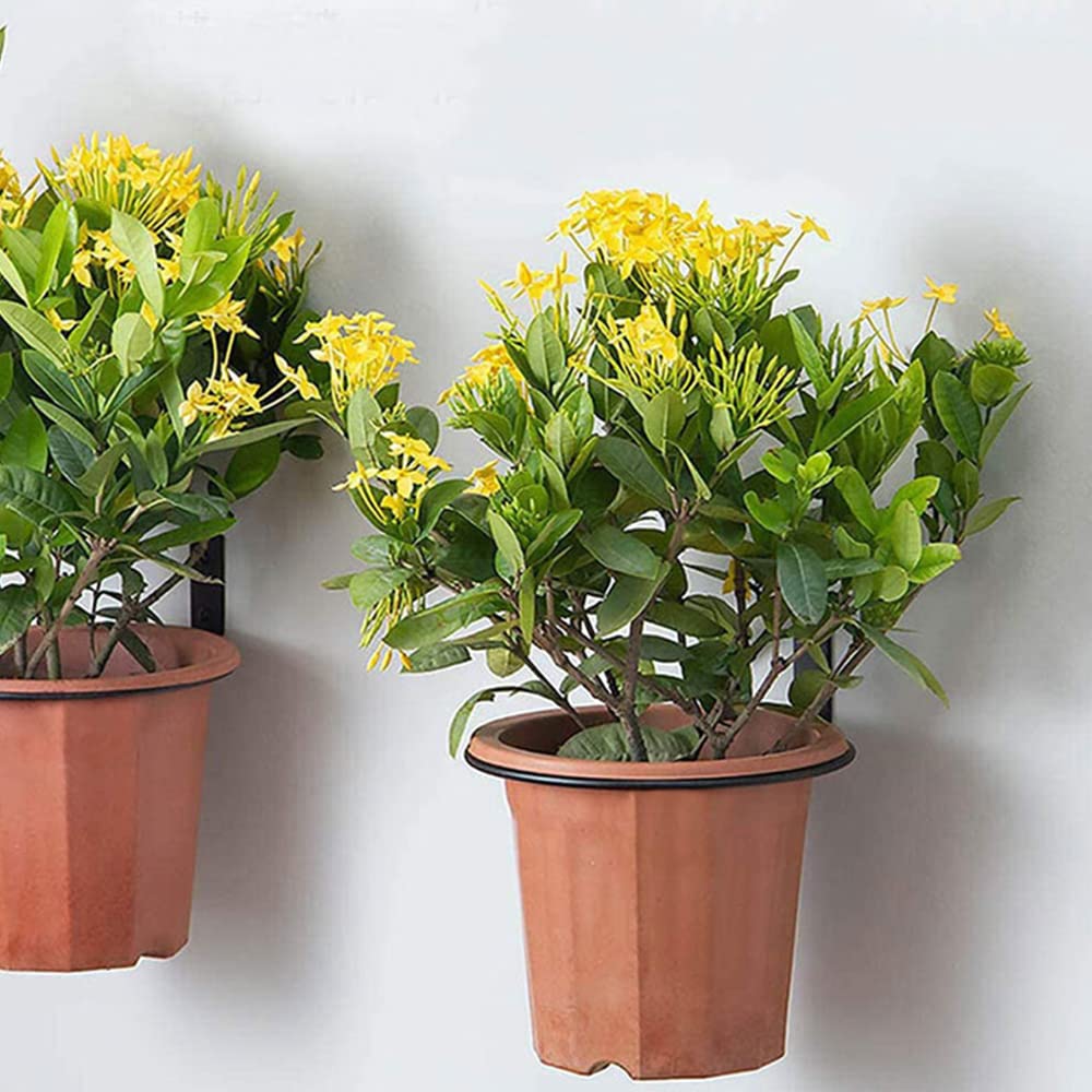 CURTEK 4 Pack Bloem Plant Houder 6 Inch Ring Bloempot Houder Wandmontage Plant Hangers Opvouwbare Beugel voor Binnen en Outdoor