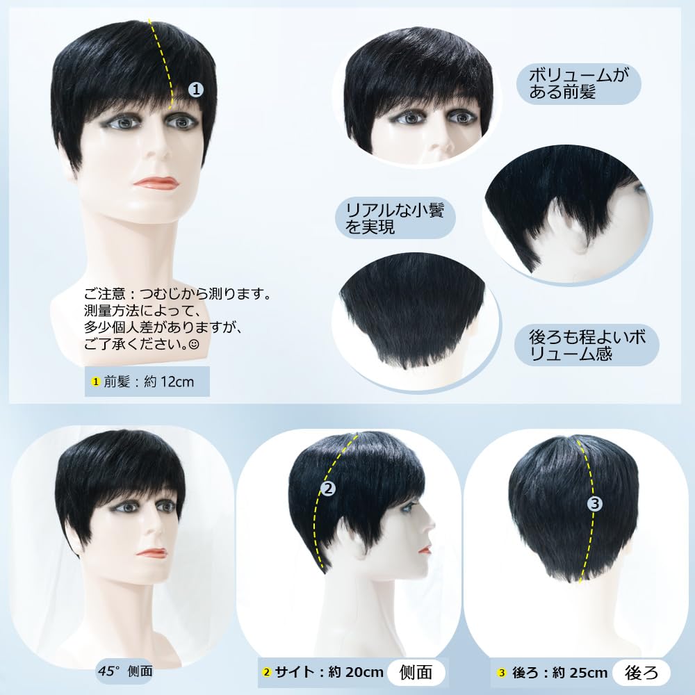 メンズウィッグ ショート 人毛100 手植え 男性用 ウイッグ 中高年 人毛10 Amazon.co.jp: メンズウィッグ ショート 人毛100 手植え 男性用