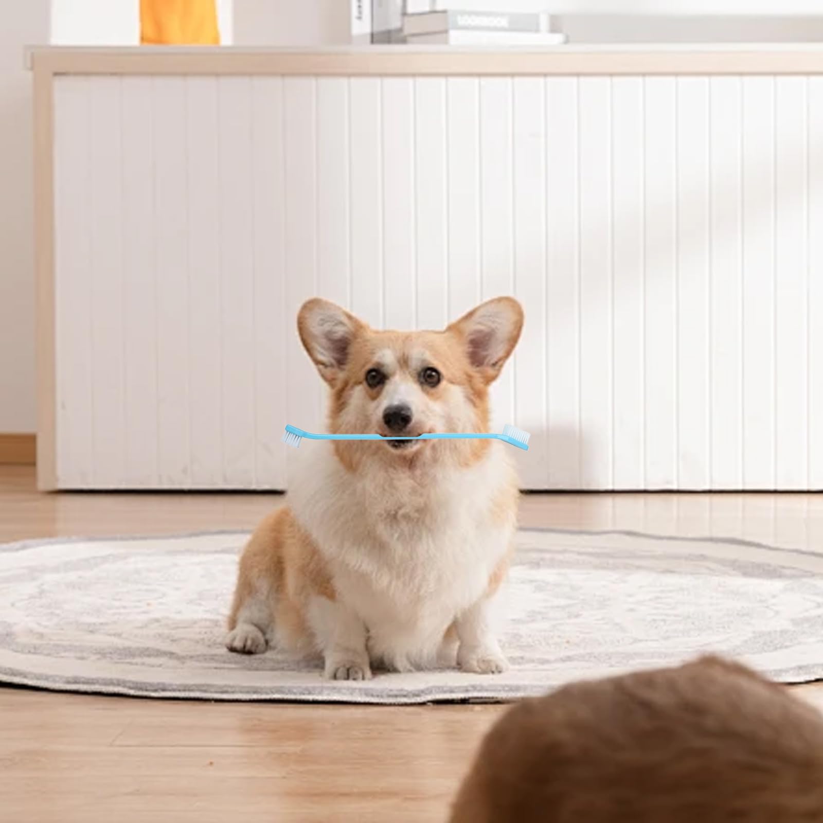 200 cepillos de dientes para perros