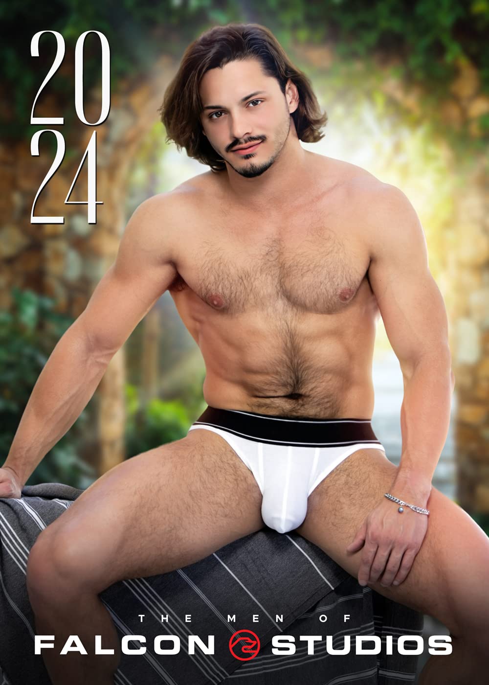 The Men of Falcon 2024 (Calendars 2024)