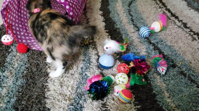 MIBOTE 28Pcs Cat Toys Kitten Toys Assorted, Cat Tunnel Catnip Fish Feather Teaser Wand Fish Fluffy Mouse Mice Balls and… - Image 7