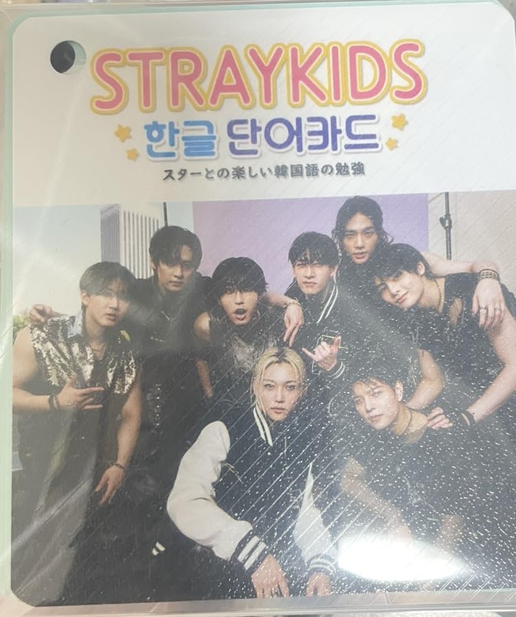 スキズとれか Stray Kids NACIFIC 両面 トレカ フォト カード A コンプ