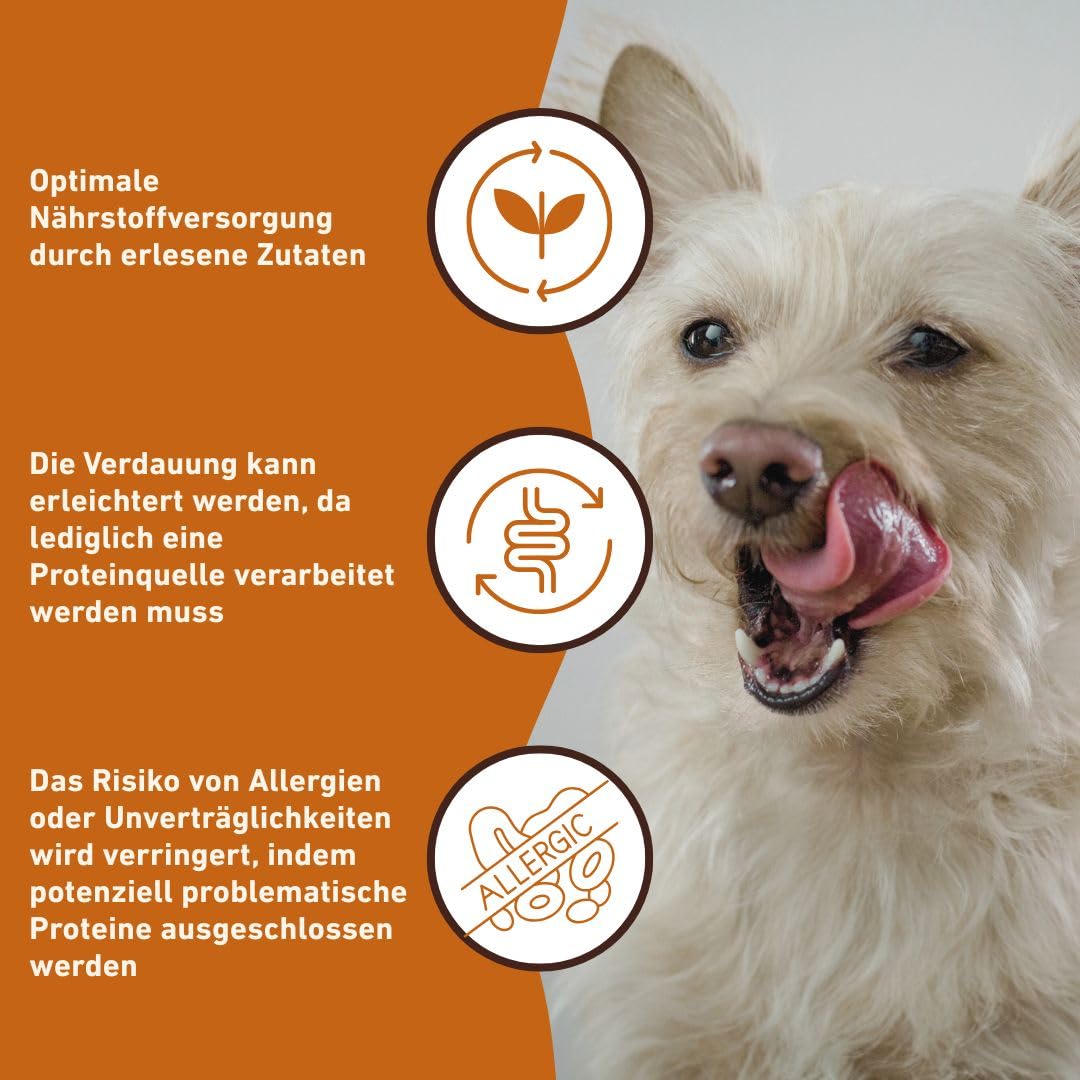 Wildfang® Hundefutter Nass 400g – Premium Pur Lamm Nassfutter für Hunde mit natürlichen Zutaten, Getreidefrei & glutenfrei, ohne Zuckerzusatz, ideal für alle Rassen und Senioren-Hunde – 6er Pack