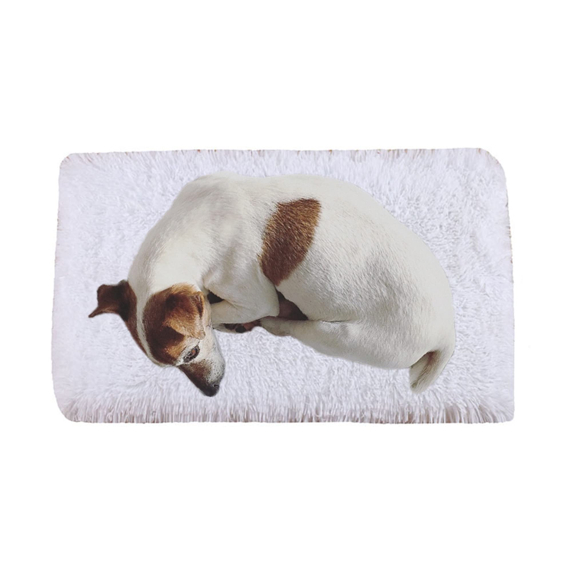 Xpnit Cama Extra Para Perro, Colchón Grueso, Cojín De Felpa, Para Perro, Tamaño Grande, Mediano Y Pequeño, Lavable (M, Gris