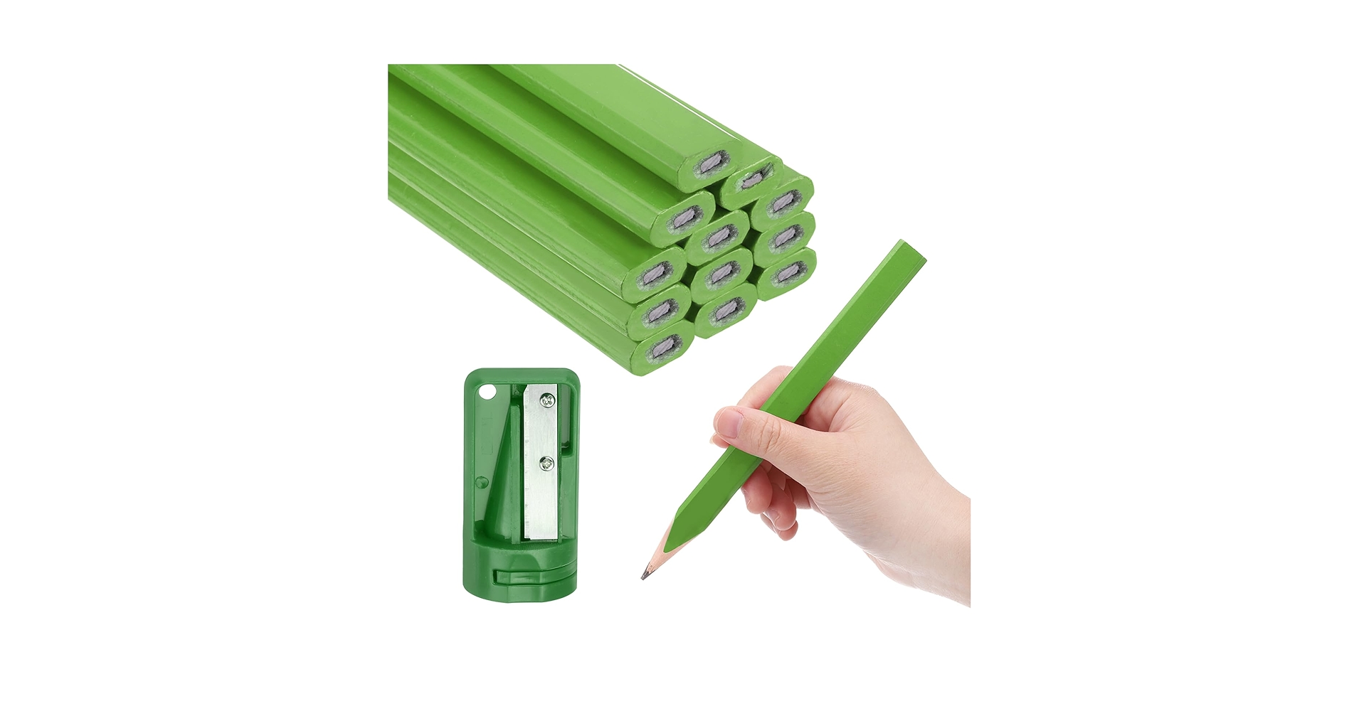 【即購入可能】　【3250mm×1500mm】　カメレオン　部分着彩画　鉛筆画 即購入可能】 【3250mm×1500mm】 カメレオン 部分着彩画 鉛筆画