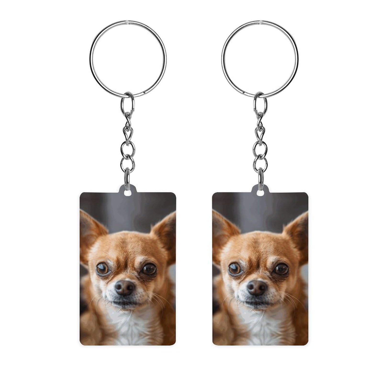 JTREHY Acrylic Double-sided Keychains, A Brown Chihuahua Printed Multi-purpose Keychains Portable Keychains with Key Chain Ring for for Key Handbag Backpack, A Brown Chihuahua, 2*1.2*0.1IN
