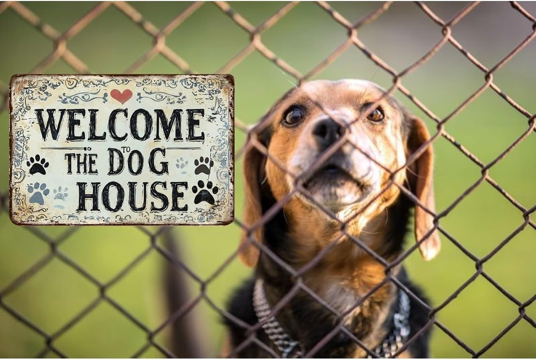 Warning Vintage Dogs House Tin Sign,Retro Beware of Dog Metal Sign,Decorative Plaque,Wall Art Poster for Outdoor Home Fence Kitchen Bedroom Farm,Gifts 8×12 Inches (Welcome The Dog House) - Image 2