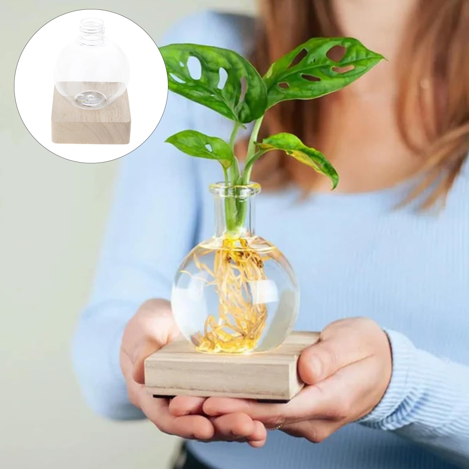Vases hydroponiques décoratifs en Verre mettant en Valeur la Croissance des Racines grâce à des illuminations et offrant des atmosphères de lumière à l ' intérieur