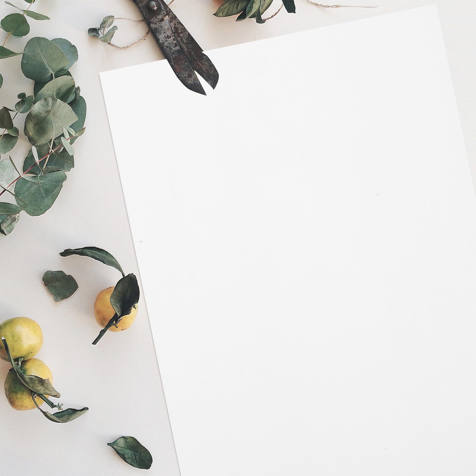 Markerpapier Zeichenblock für Architekten und Designer, 100 Blatt | Weißes Papier, für Malen und Outdoor Skizzen, Großflächiges Ausmalen und Feine Linien