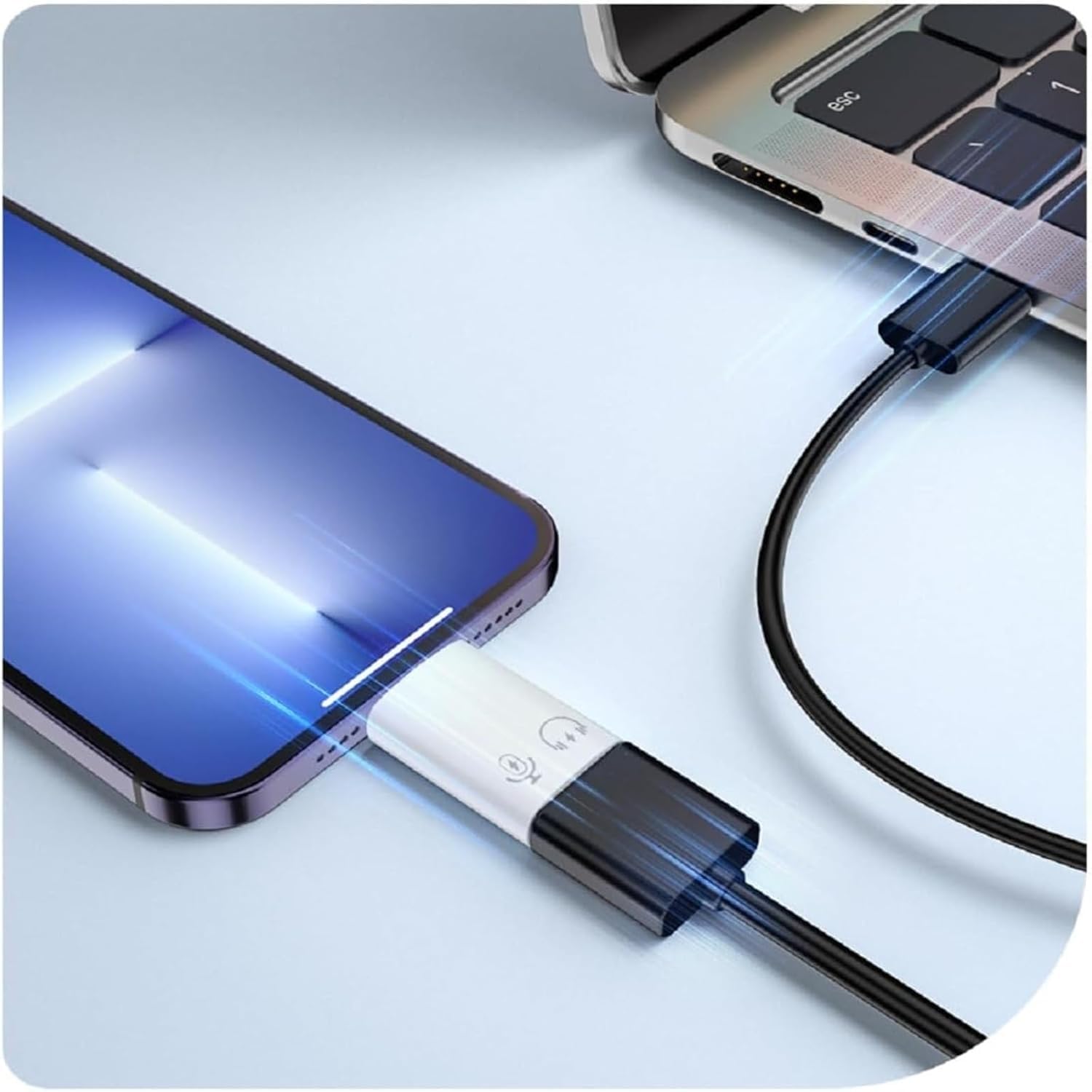 Adaptateur USB C Femme à Lightning Mâle, Lightning Mâle à USB