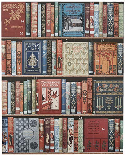 Nelson Line Christmas Bookshelf-8 x 10 Advent Calendar, Brown