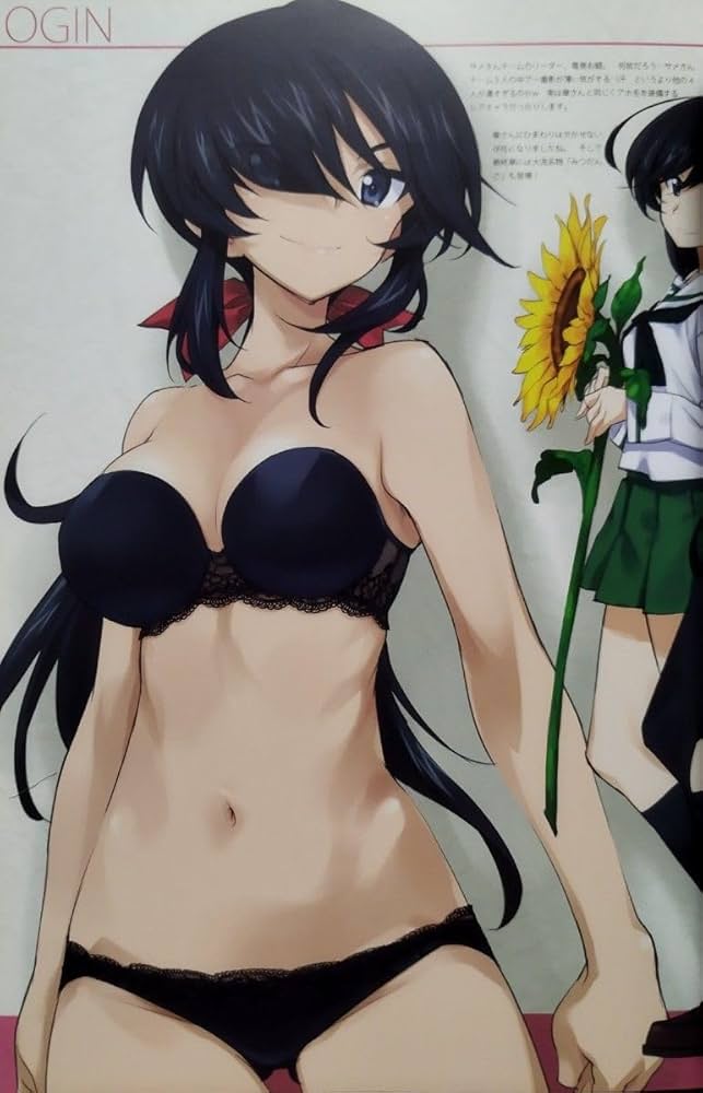 ガールズ&パンツァー　B1タペストリー おこたんぺこ Amazon.co.jp: ガールズ＆パンツァーB1タペストリー 倉島丈康C91