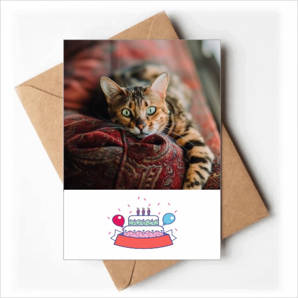 Animal Green Eye Cat Photograph Happy Birthday Greeting Cards Envelopes Blank