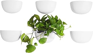 Make Good Virgo Wall Planters (Wide, Set of 6) - Easy to Water and Insta...